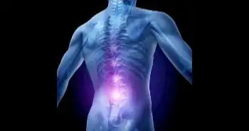 Return to work of patients treated with spinal cord stimulation for chronic pain