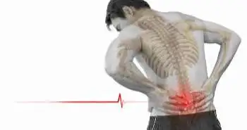 Rowing training under experienced coaches needed to prevent back pain in rowers