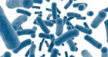Efficacy of probiotics concerning remission in Crohn's disease