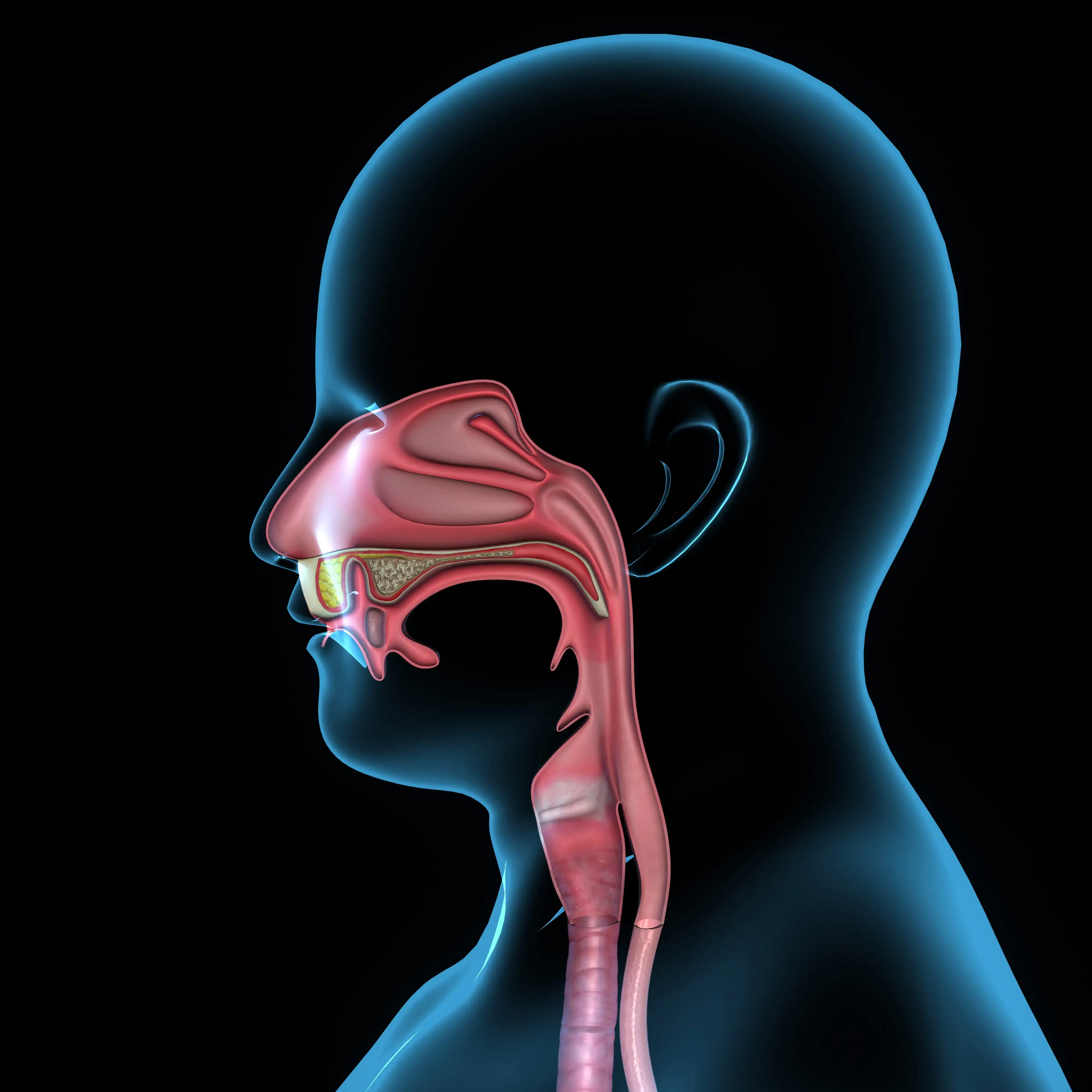 Postoperative pain relief